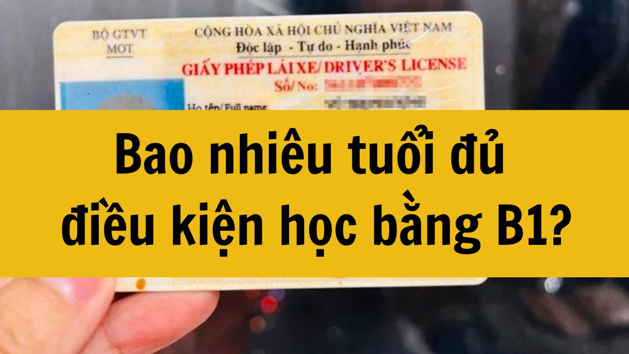 Bao nhiêu tuổi đủ điều kiện học bằng B1 mới nhất 2025?