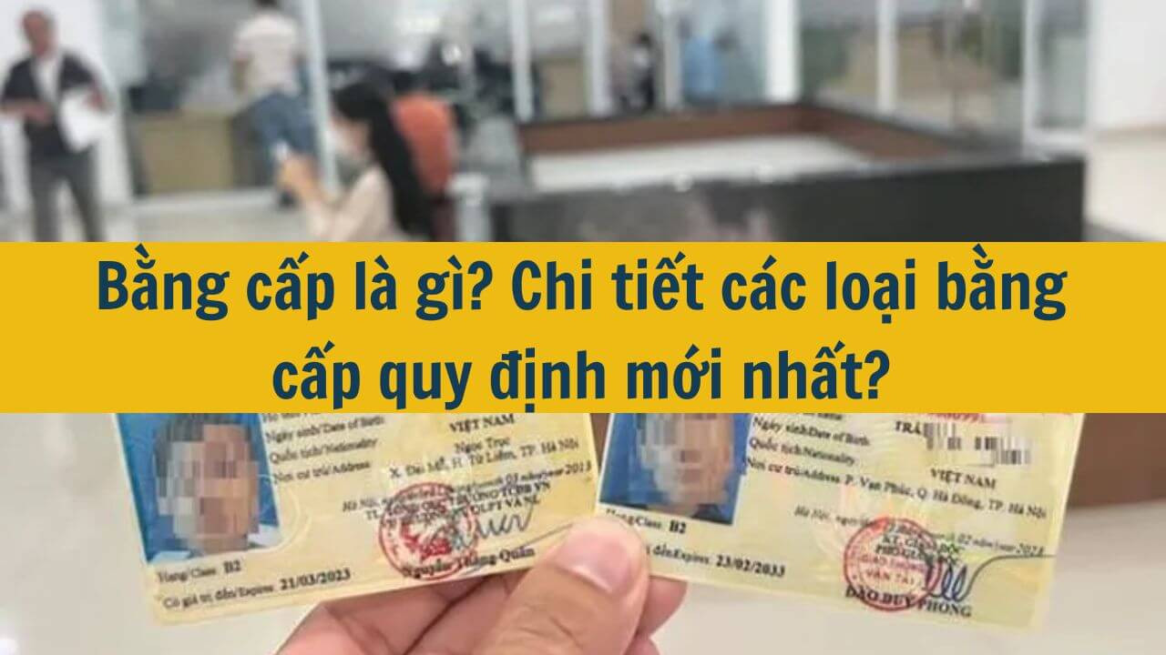 Bằng cấp là gì? Chi tiết các loại bằng cấp quy định mới nhất 2025?