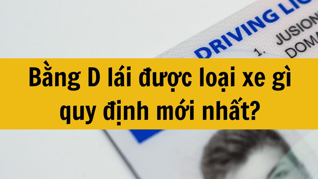 Bằng D lái được loại xe gì mới nhất 2025?