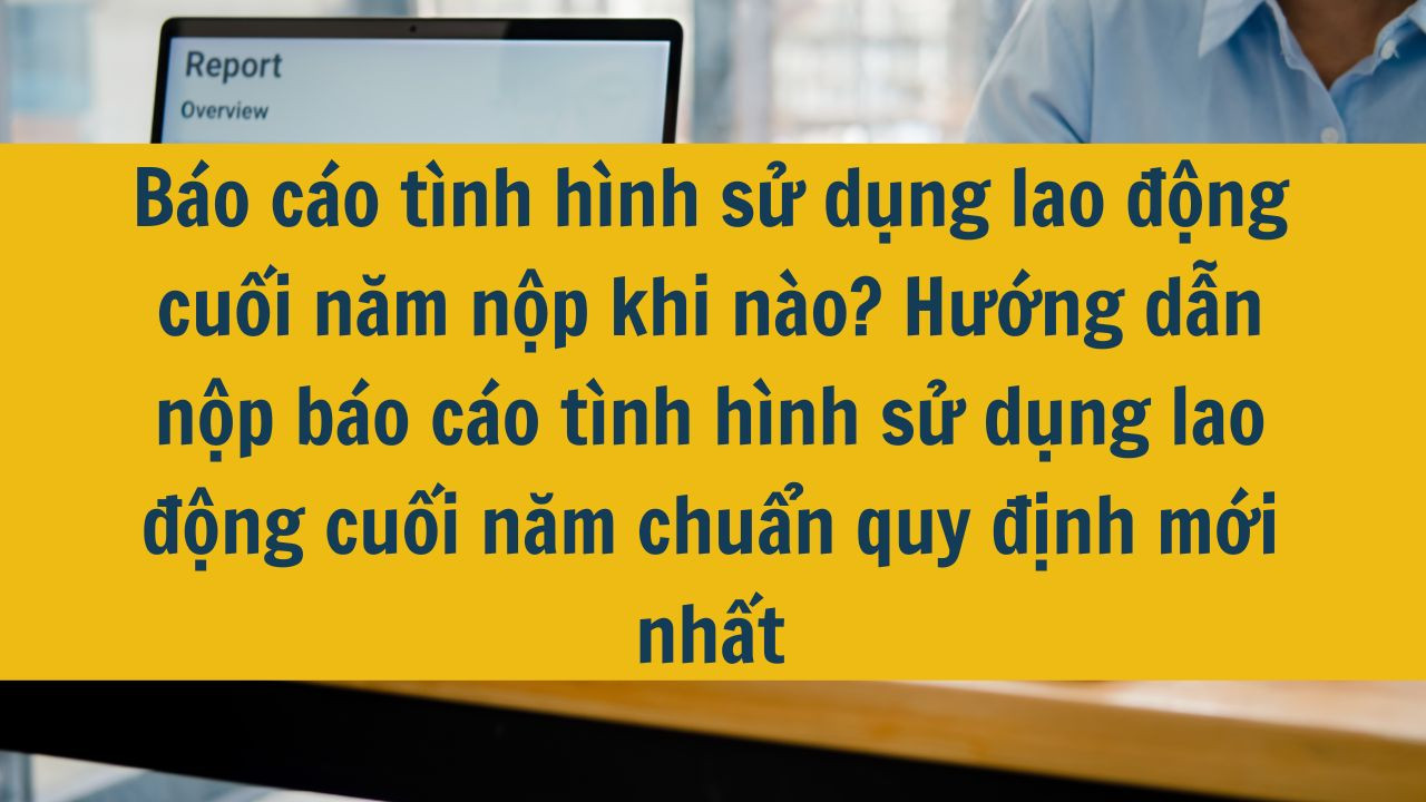 Báo cáo tình hình sử dụng lao động cuối năm nộp khi nào? Hướng dẫn nộp báo cáo tình hình sử dụng lao động cuối năm chuẩn quy định mới nhất 2025