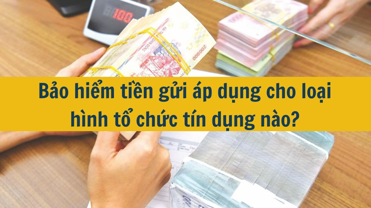 Bảo hiểm tiền gửi áp dụng cho loại hình tổ chức tín dụng nào?