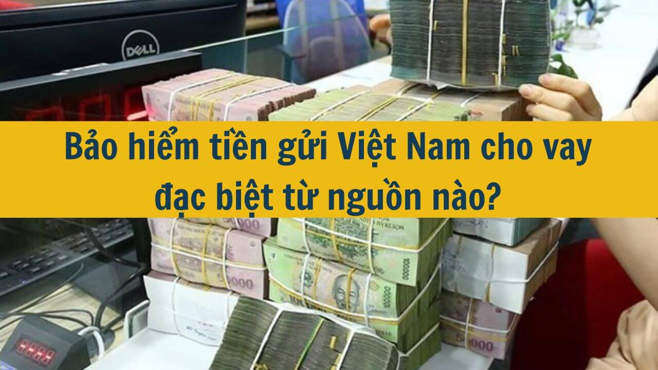 Bảo hiểm tiền gửi Việt Nam cho vay đặc biệt từ nguồn nào?