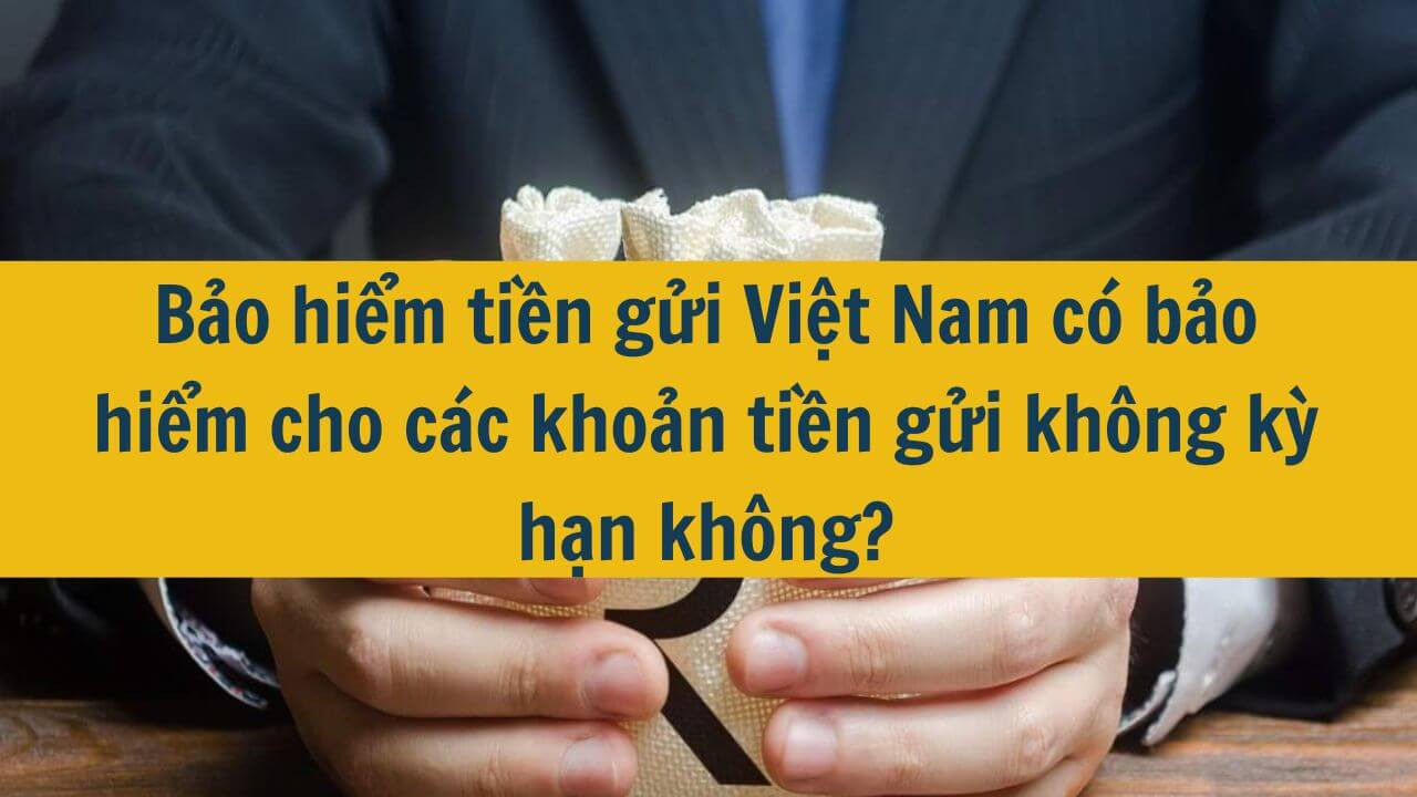 Bảo hiểm tiền gửi Việt Nam có bảo hiểm cho các khoản tiền gửi không kỳ hạn không?