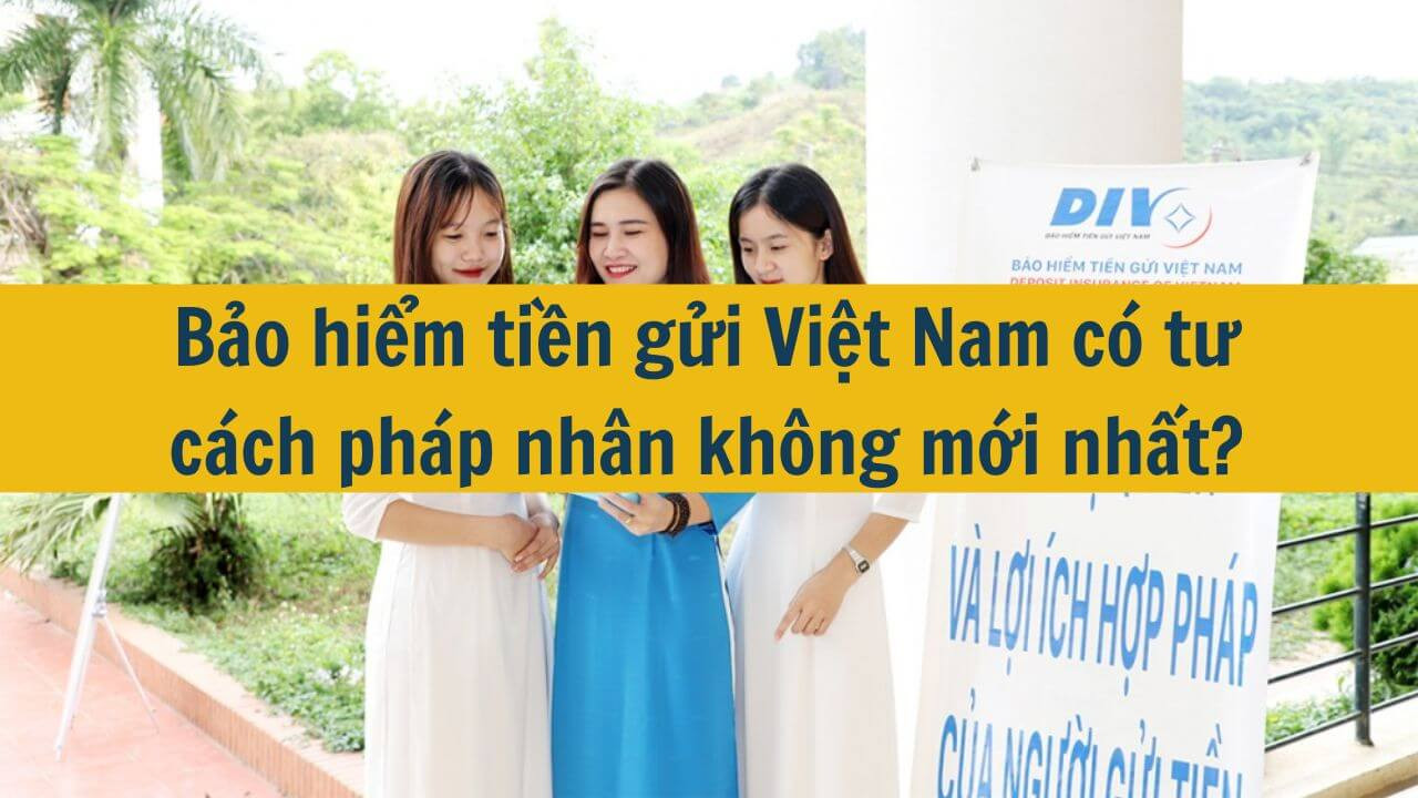 Bảo hiểm tiền gửi Việt Nam có tư cách pháp nhân không mới nhất 2025?