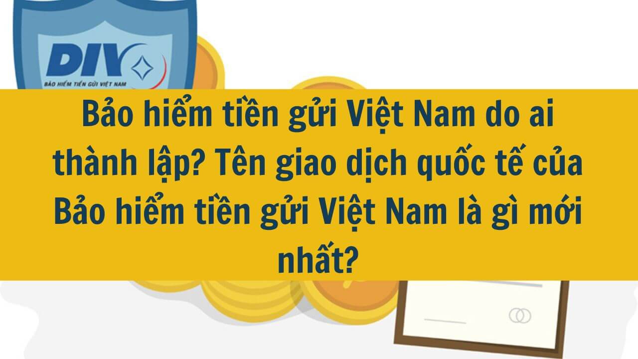 Bảo hiểm tiền gửi Việt Nam do ai thành lập? Tên giao dịch quốc tế của Bảo hiểm tiền gửi Việt Nam là gì mới nhất 2025?