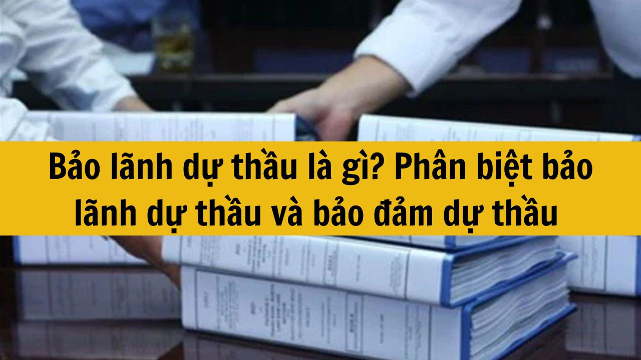 Bảo lãnh dự thầu là gì? Phân biệt bảo lãnh dự thầu và bảo đảm dự thầu theo quy định mới nhất 2025