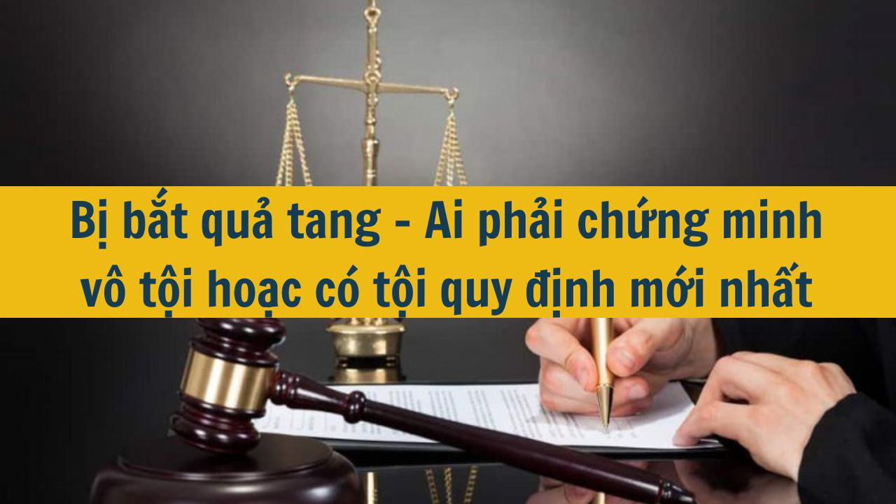 Bị bắt quả tang - Ai phải chứng minh vô tội hoặc có tội quy định mới nhất 2025