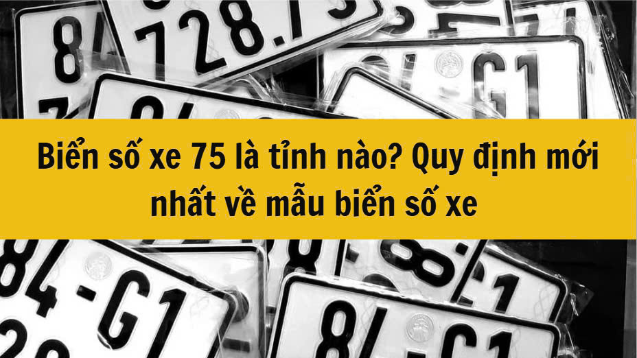 Biển số xe 75 là tỉnh nào? Quy định mới nhất 2025 về mẫu biển số xe