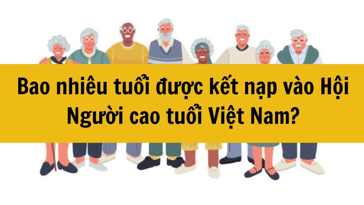 Bao nhiêu tuổi được kết nạp vào Hội Người cao tuổi Việt Nam?