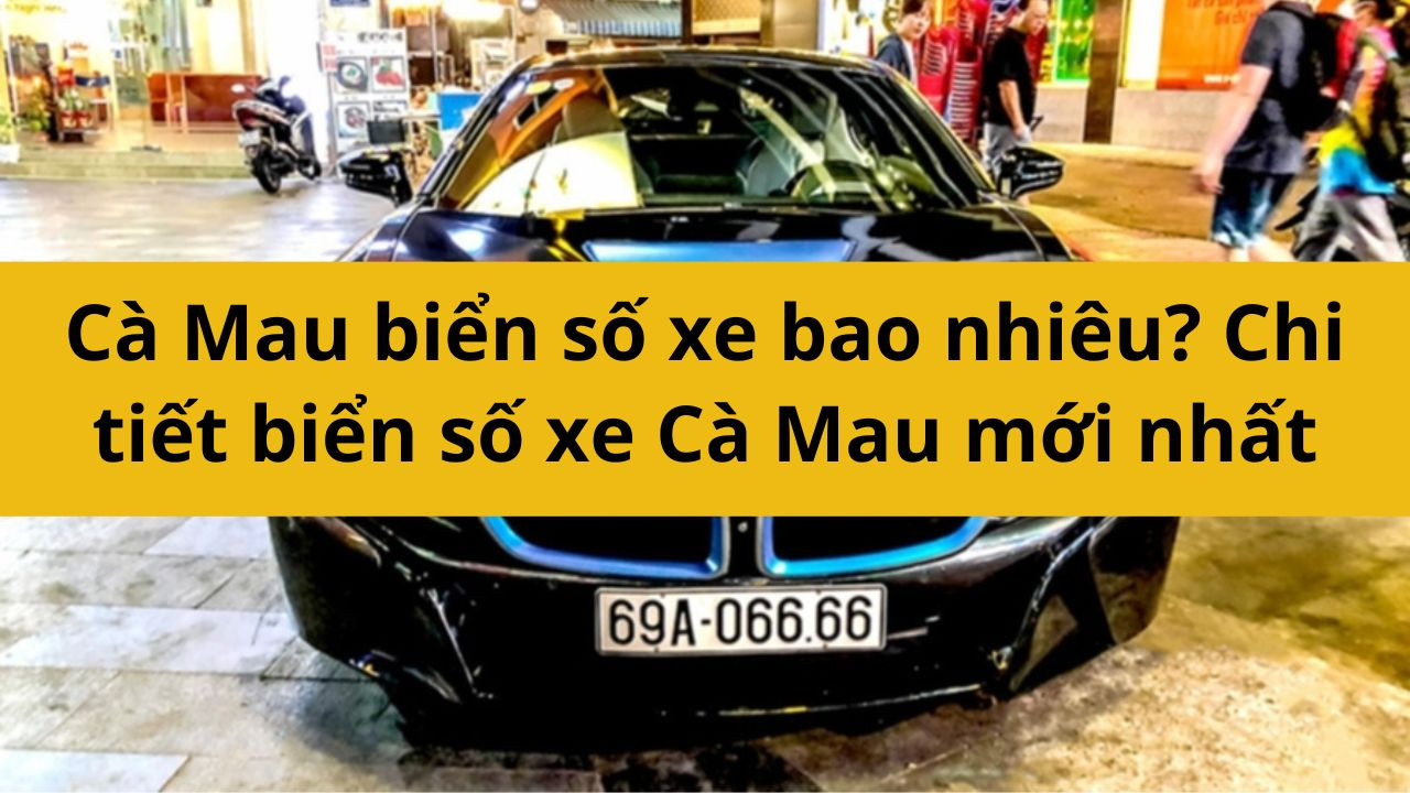 Cà Mau biển số xe bao nhiêu? Chi tiết biển số xe Cà Mau mới nhất 2025