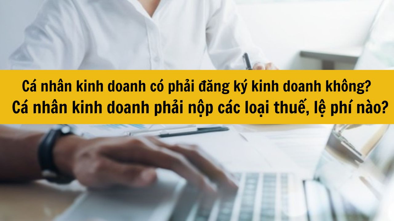 Cá nhân kinh doanh có phải đăng ký kinh doanh không? Cá nhân kinh doanh phải nộp các loại thuế, lệ phí nào mới nhất 2025?