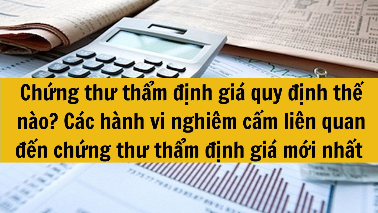 Chứng thư thẩm định giá quy định thế nào? Các hành vi nghiêm cấm liên quan đến chứng thư thẩm định giá mới nhất 2025 gồm những gì?