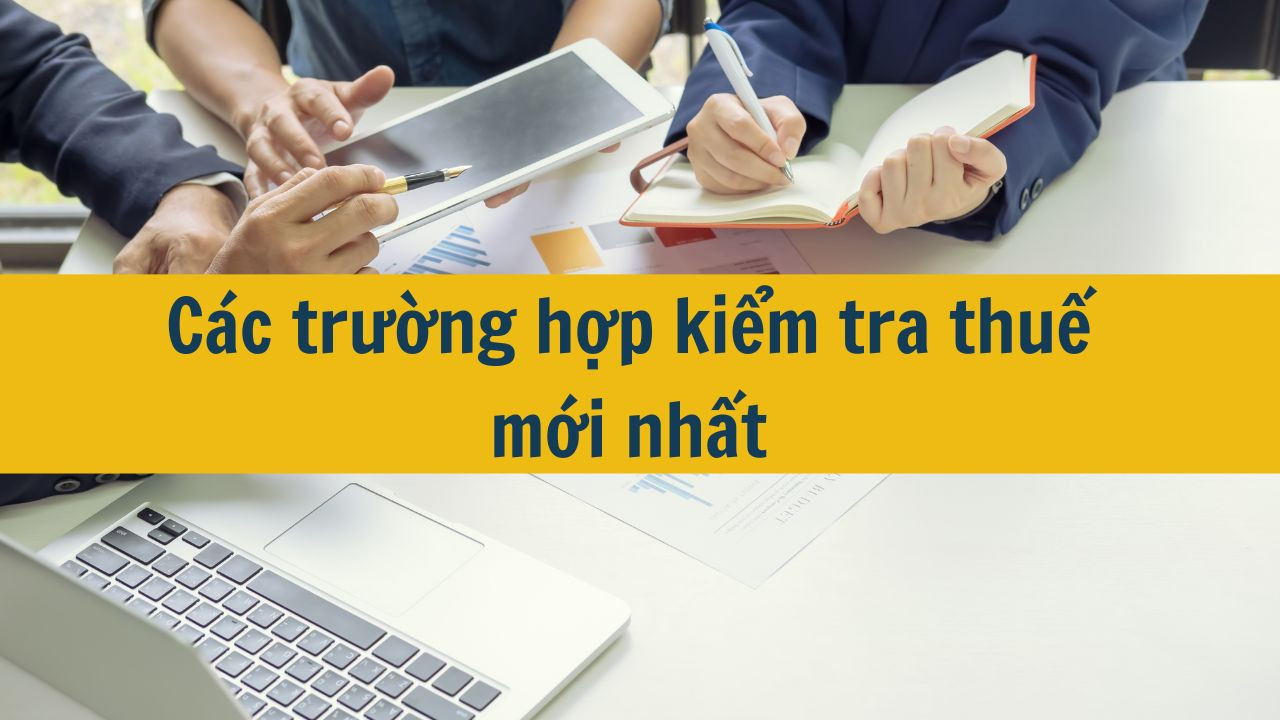 Các trường hợp kiểm tra thuế mới nhất năm 2025