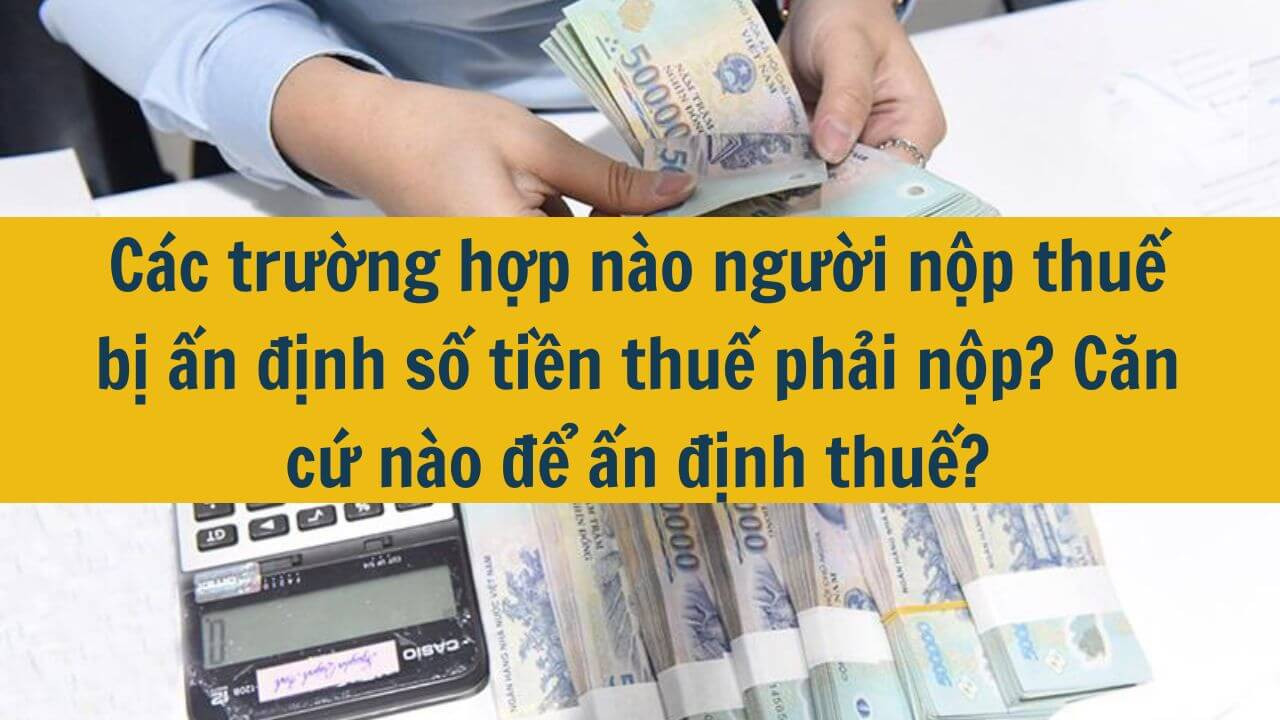 Các trường hợp nào người nộp thuế bị ấn định số tiền thuế phải nộp? Căn cứ nào để ấn định thuế?
