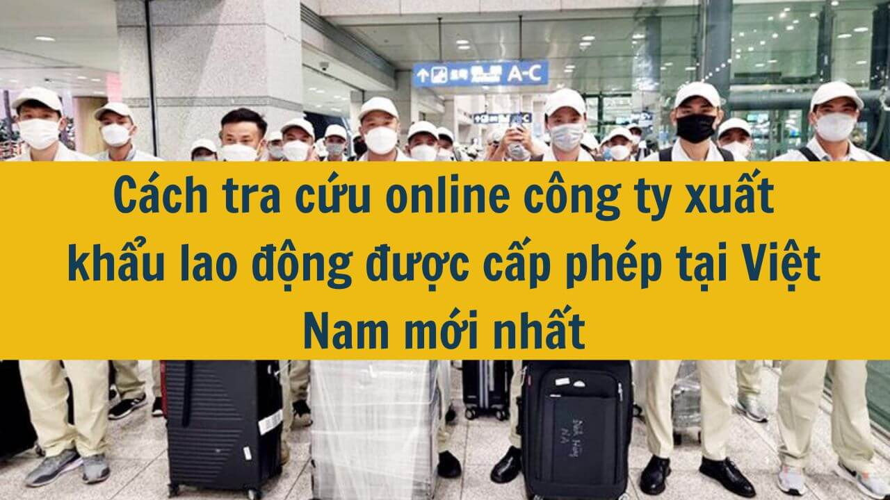 Cách tra cứu online công ty xuất khẩu lao động được cấp phép tại Việt Nam mới nhất 2025