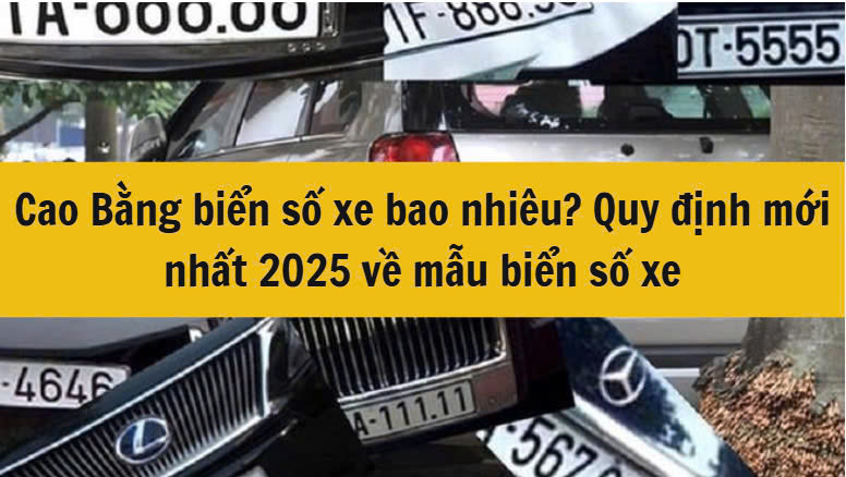 Cao Bằng biển số xe bao nhiêu? Quy định mới nhất 2025 về mẫu biển số xe