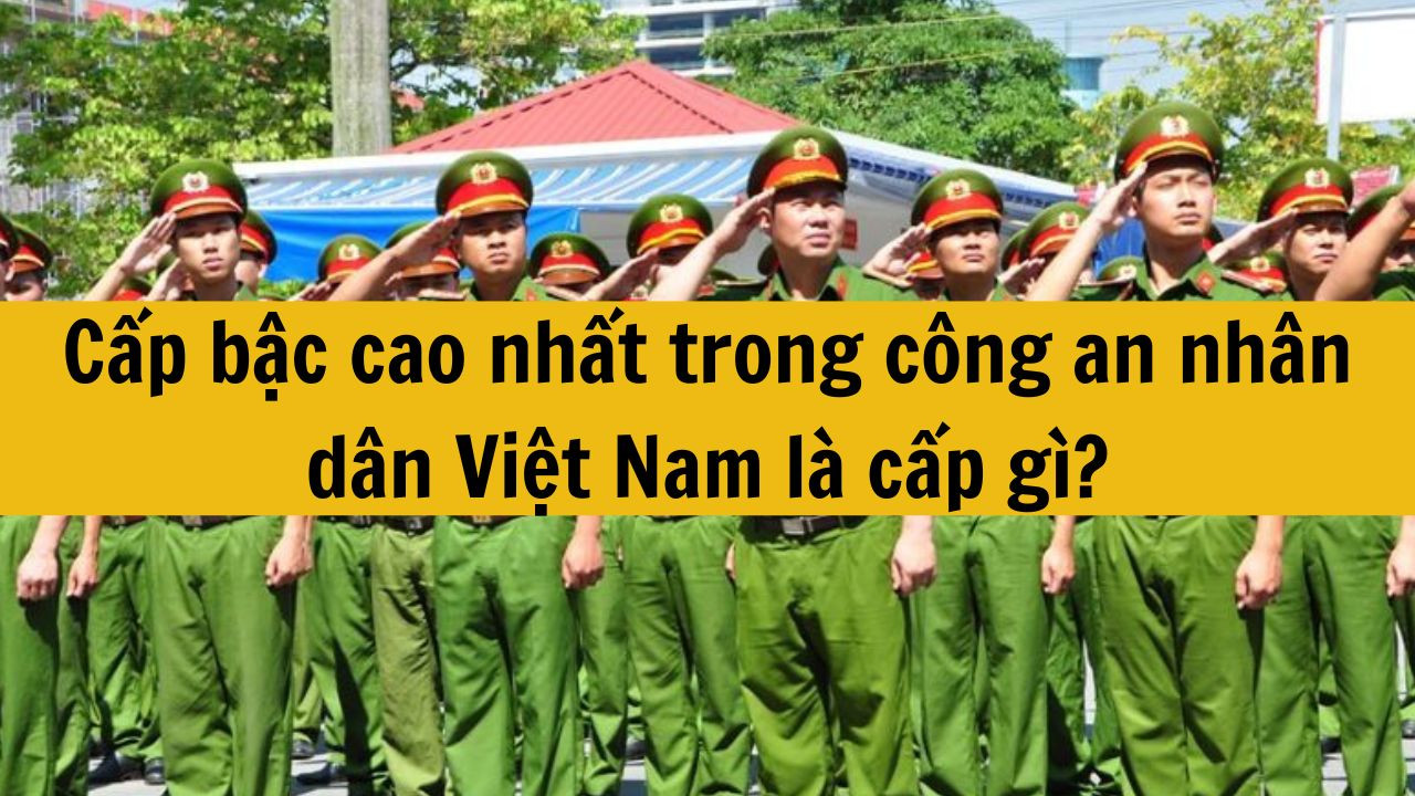Cấp bậc cao nhất trong công an nhân dân Việt Nam là cấp gì?