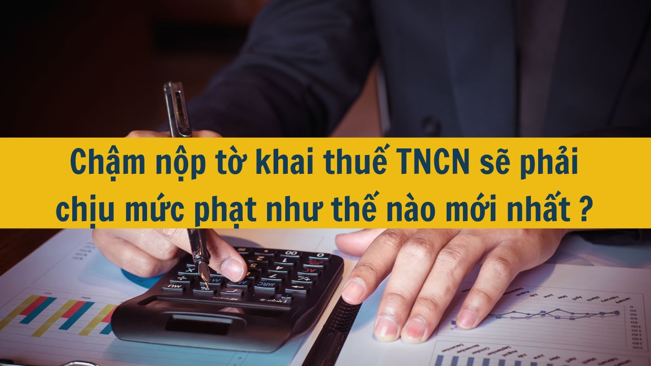 Chậm nộp tờ khai thuế TNCN sẽ phải chịu mức phạt như thế nào mới nhất 2025?