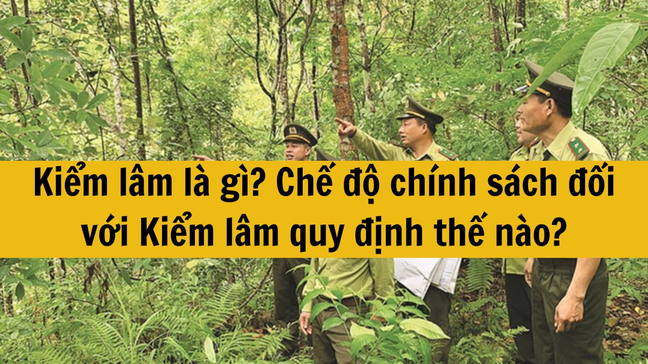 Kiểm lâm là gì? Chế độ chính sách đối với Kiểm lâm quy định thế nào?