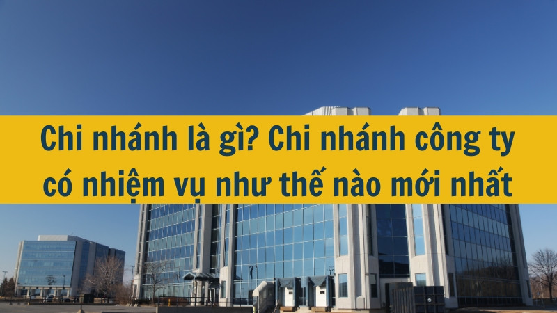 Chi nhánh là gì? Chi nhánh công ty có nhiệm vụ như thế nào mới nhất 2025