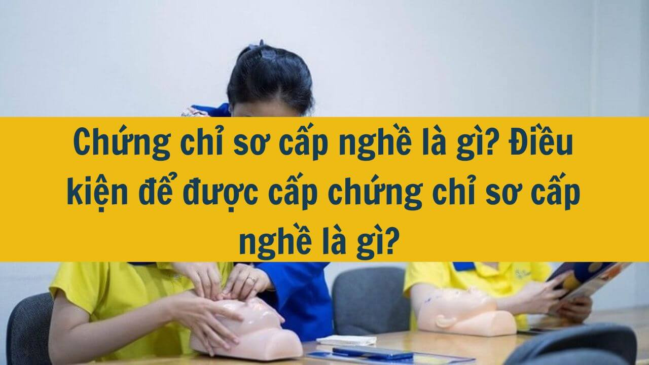 Chứng chỉ sơ cấp nghề là gì? Điều kiện để được cấp chứng chỉ sơ cấp nghề là gì?