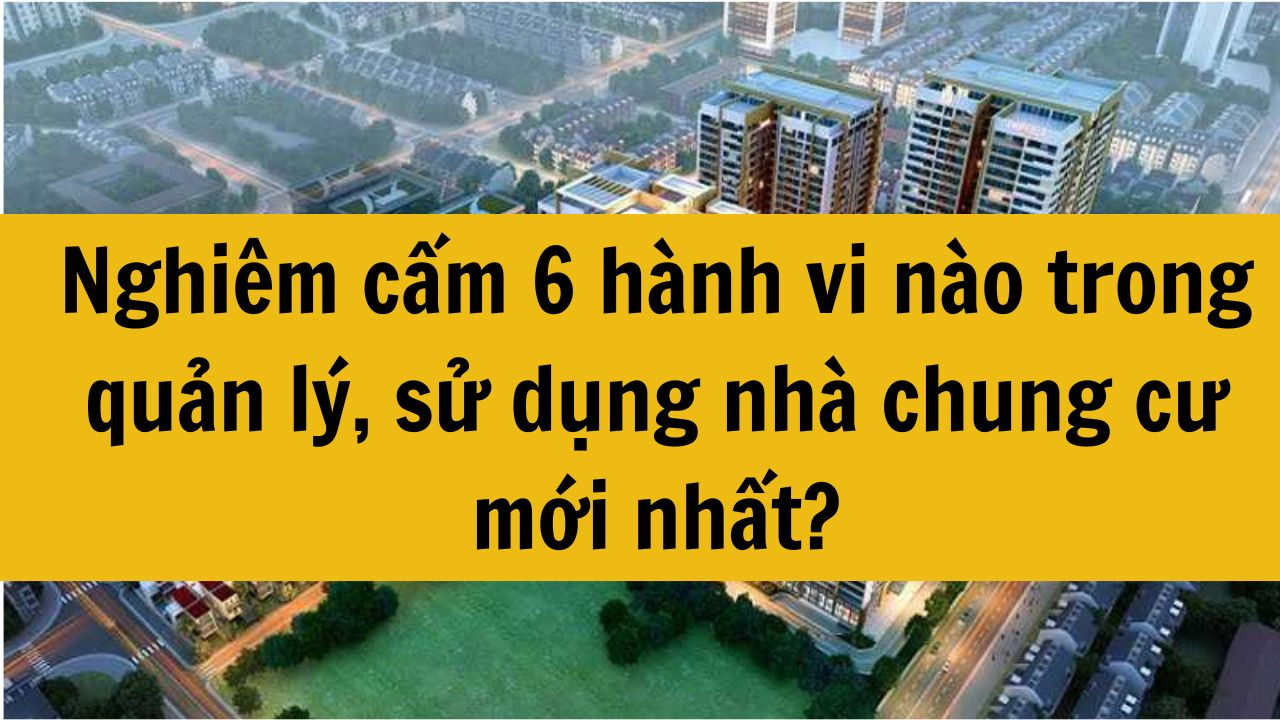 Nghiêm cấm 6 hành vi nào trong quản lý, sử dụng nhà chung cư mới nhất 2025?