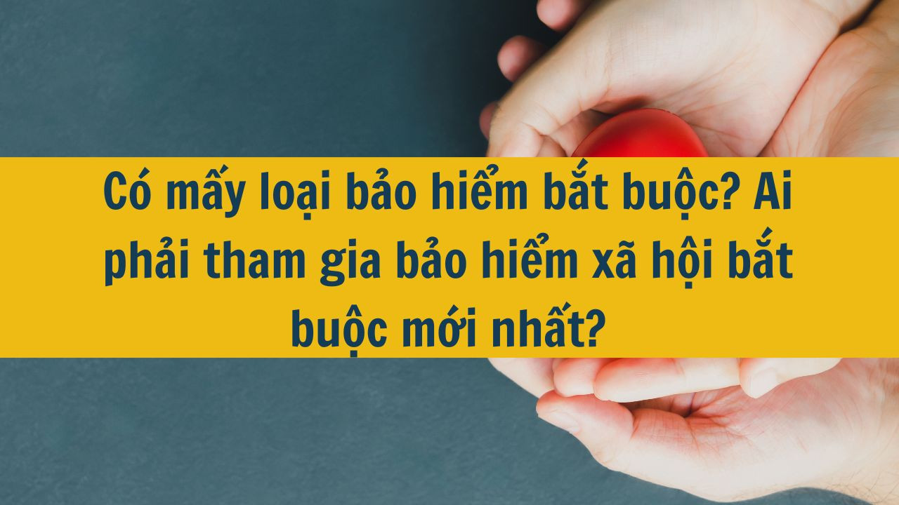 Có mấy loại bảo hiểm bắt buộc? Ai phải tham gia bảo hiểm xã hội bắt buộc mới nhất 2025?