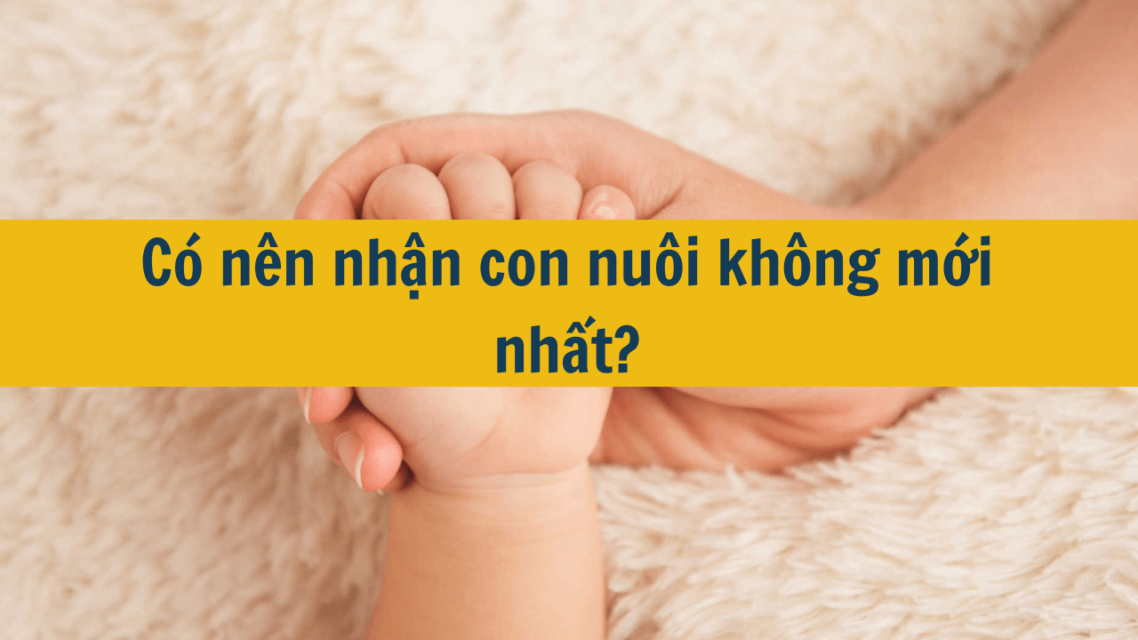 Có nên nhận con nuôi không mới nhất 2025?