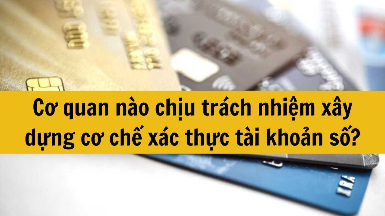 Cơ quan nào chịu trách nhiệm xây dựng cơ chế xác thực tài khoản số?