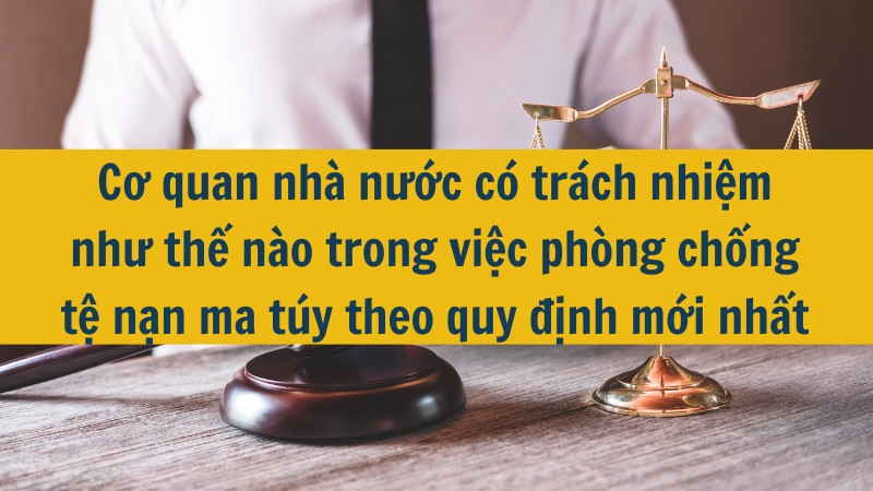 Cơ quan nhà nước có trách nhiệm như thế nào trong việc phòng chống tệ nạn ma túy theo quy định mới nhất 2025