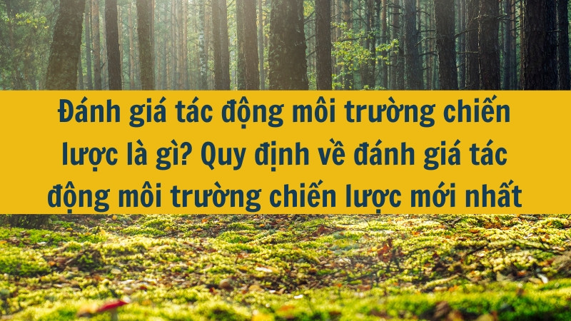 Đánh giá tác động môi trường chiến lược là gì? Quy định về đánh giá tác động môi trường chiến lược mới nhất 2025