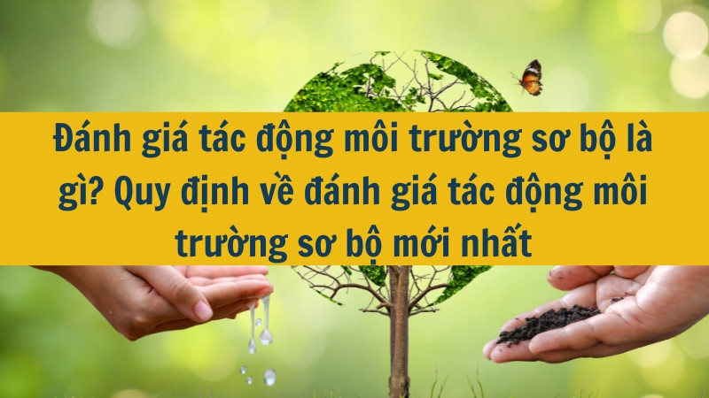 Đánh giá tác động môi trường sơ bộ là gì? Quy định về đánh giá tác động môi trường sơ bộ mới nhất 2025