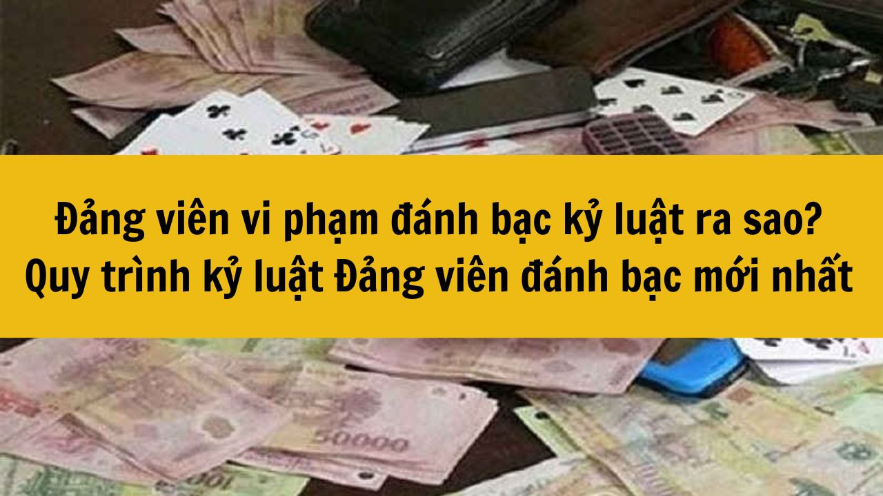 Đảng viên vi phạm đánh bạc kỷ luật ra sao? Quy trình kỷ luật Đảng viên đánh bạc mới nhất 2025
