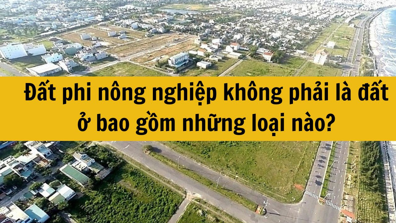 Đất phi nông nghiệp không phải là đất ở bao gồm những loại nào?