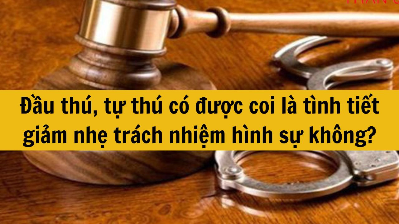 Đầu thú, tự thú có được coi là tình tiết giảm nhẹ trách nhiệm hình sự không?