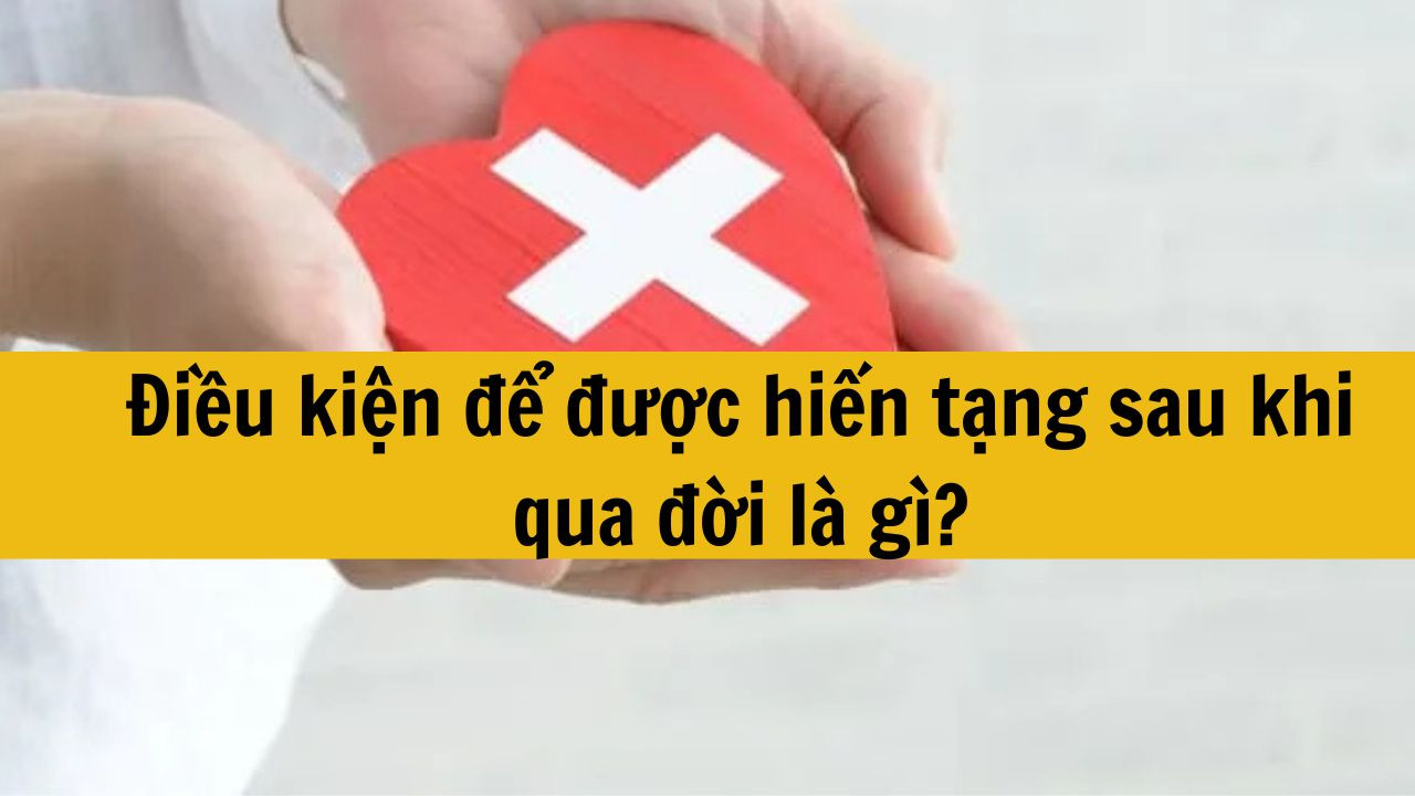 Điều kiện để được hiến tạng sau khi qua đời là gì?