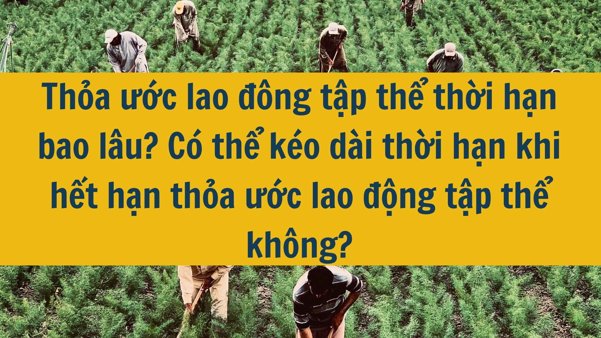 Thỏa ước lao đông tập thể thời hạn bao lâu? Có thể kéo dài thời hạn khi hết hạn thỏa ước lao động tập thể không?
