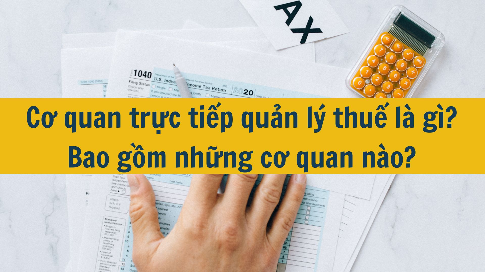 Cơ quan trực tiếp quản lý thuế là gì? Bao gồm những cơ quan nào?