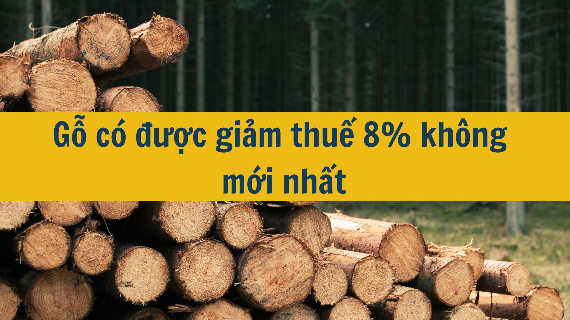 Gỗ có được giảm thuế 8% không mới nhất 2025?