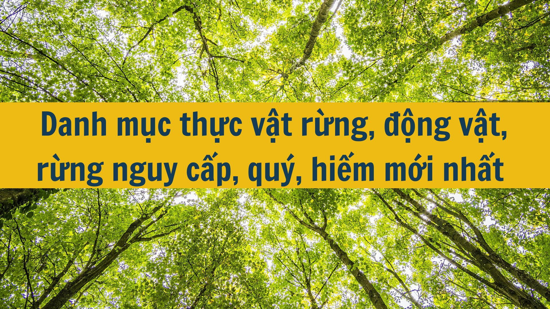 Danh mục thực vật rừng, động vật, rừng nguy cấp, quý, hiếm mới nhất 2025