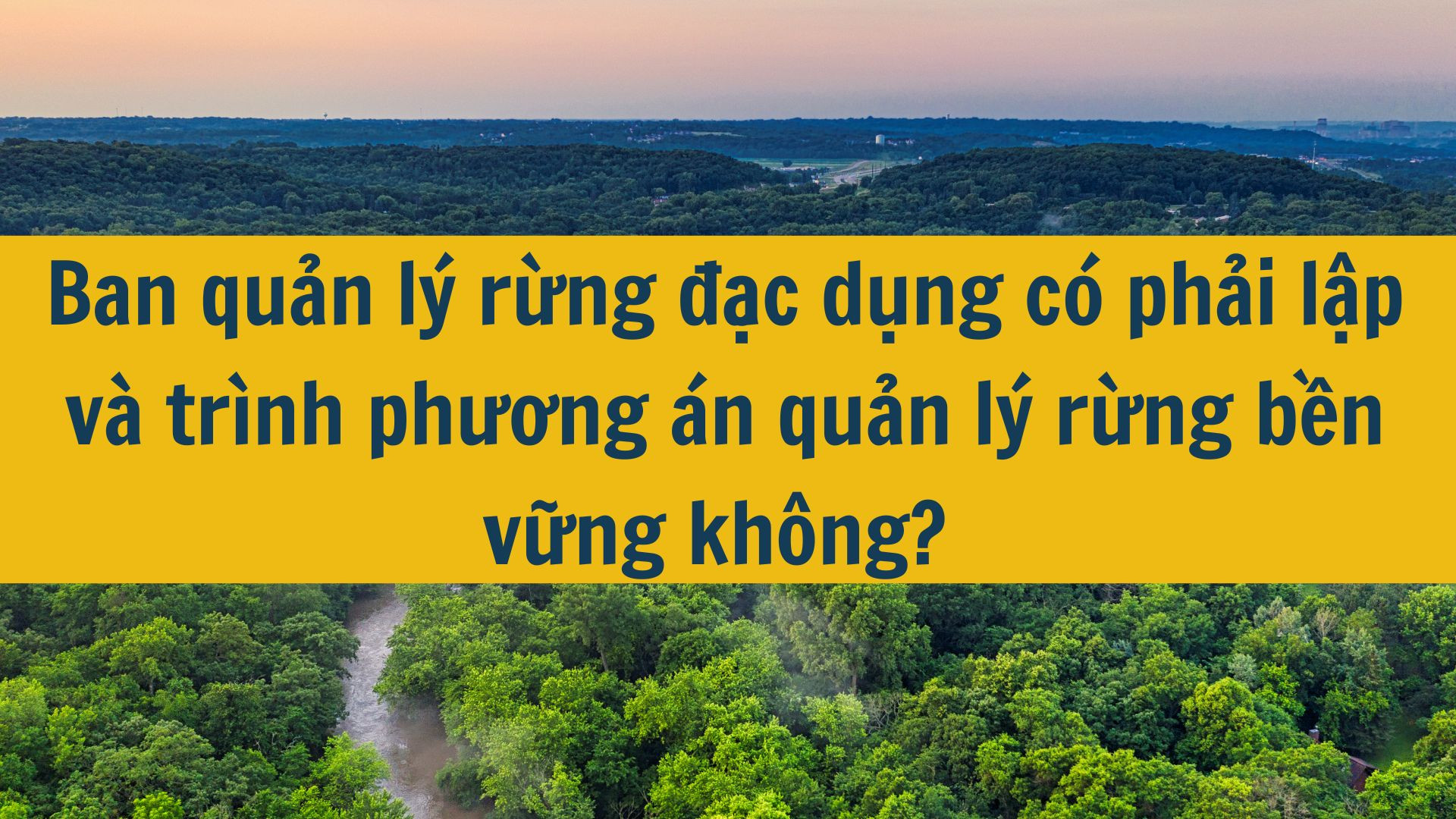 Ban quản lý rừng đặc dụng có phải lập và trình phương án quản lý rừng bền vững không?