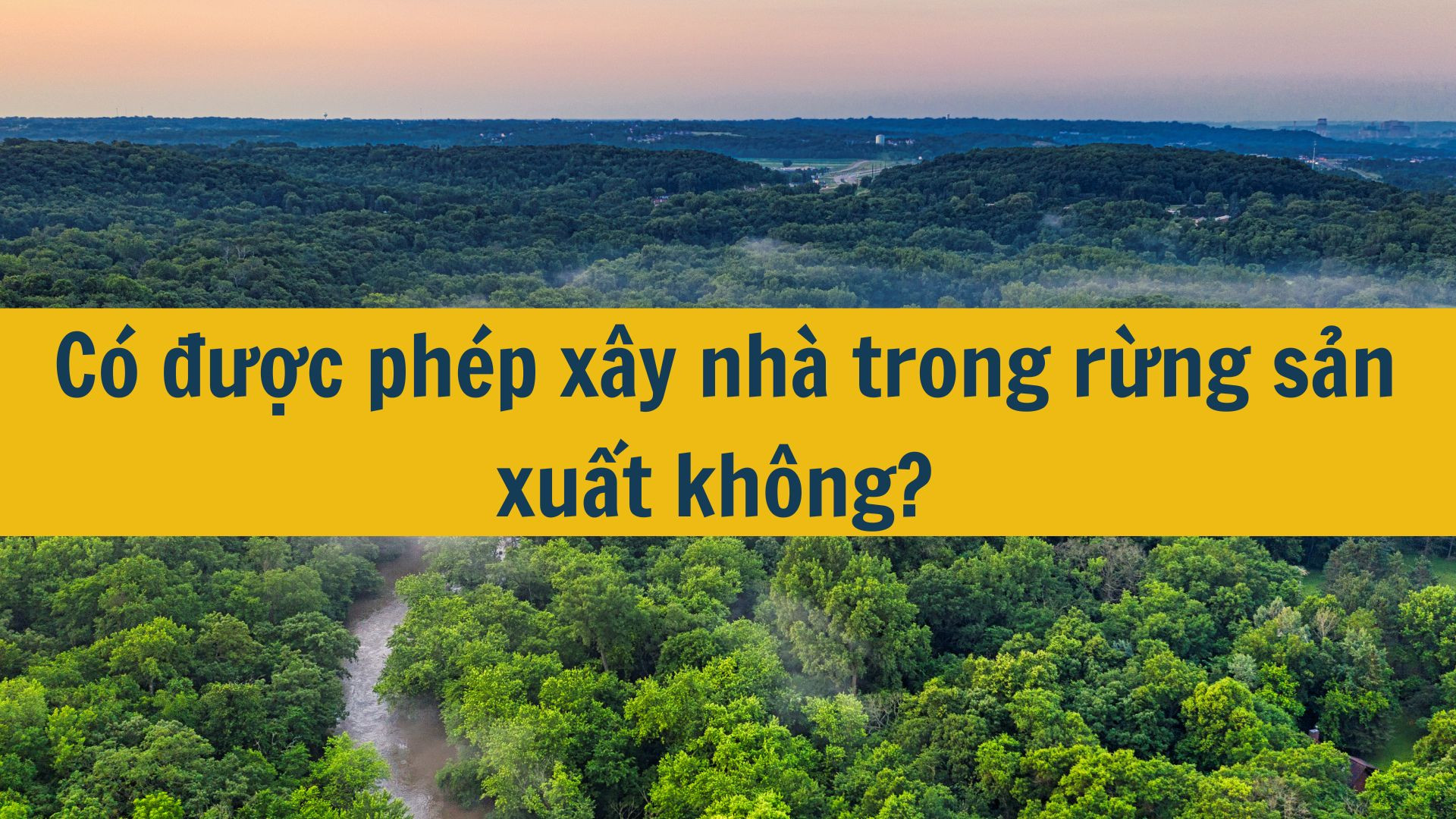Có được phép xây nhà trong rừng sản xuất không?