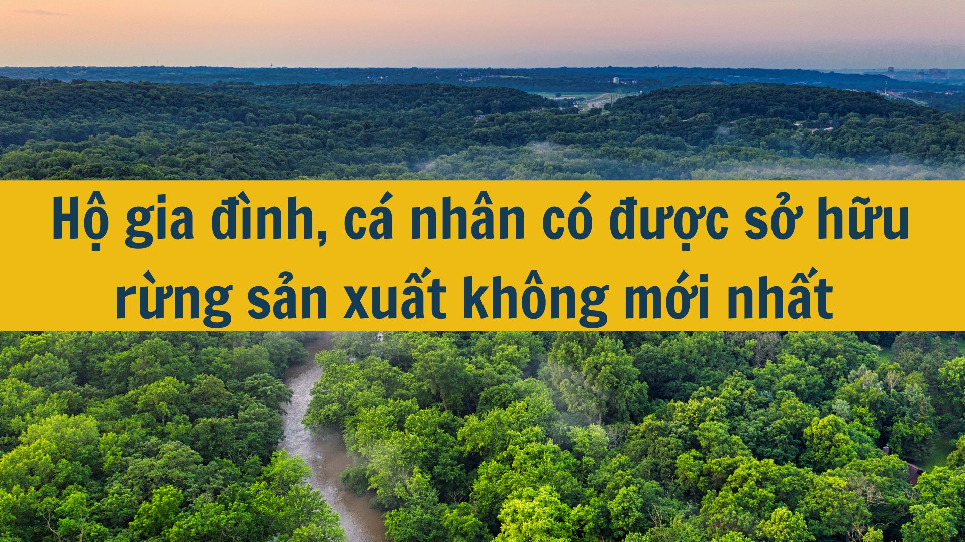 Hộ gia đình, cá nhân có được sở hữu rừng sản xuất không mới nhất 2025?