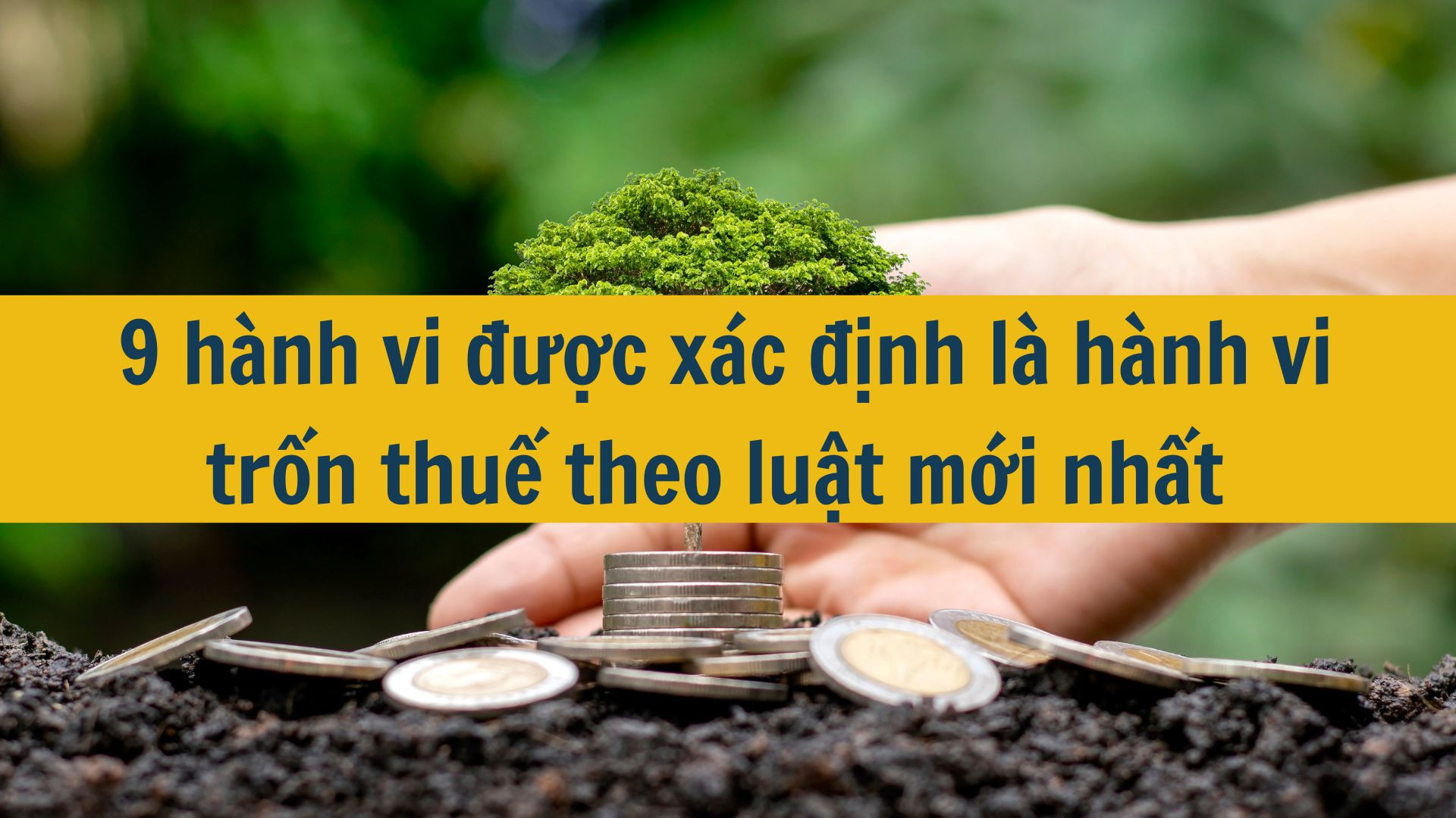 9 hành vi được xác định là hành vi trốn thuế theo luật mới nhất 2025