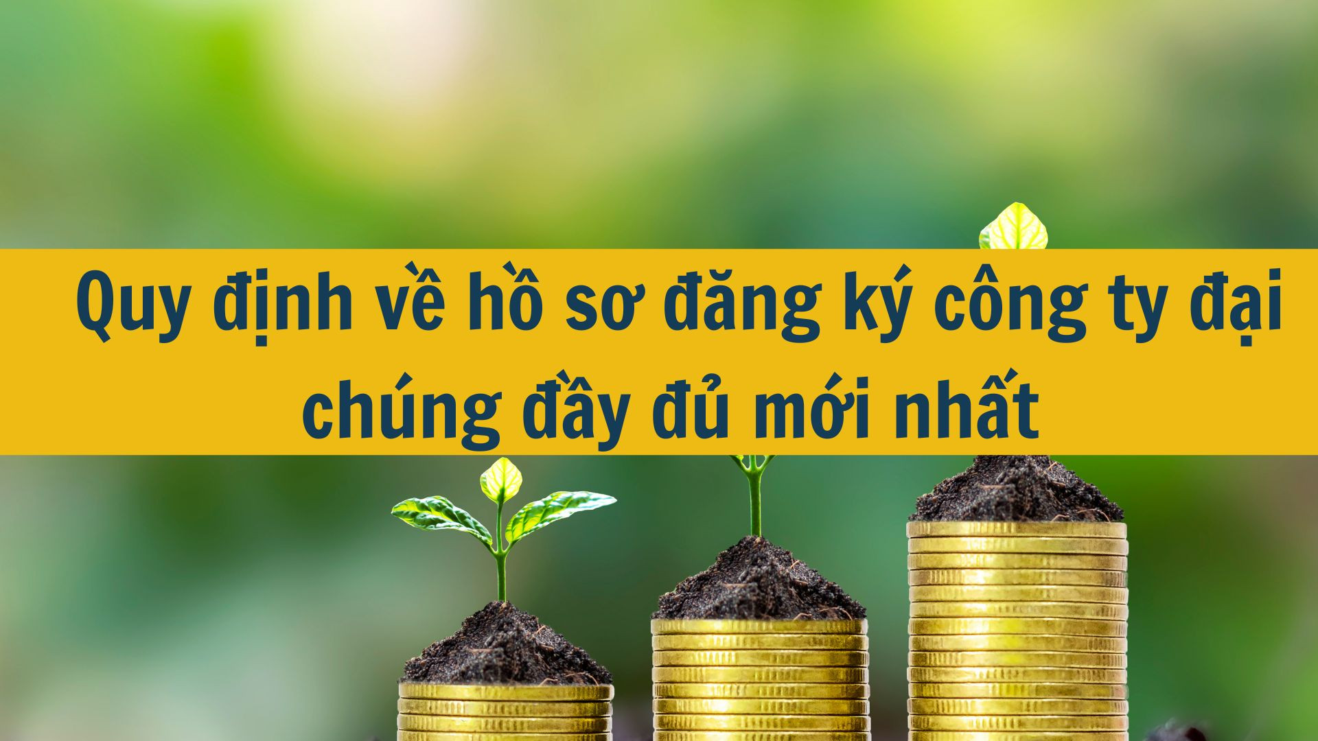 Quy định về hồ sơ đăng ký công ty đại chúng đầy đủ mới nhất 2025?