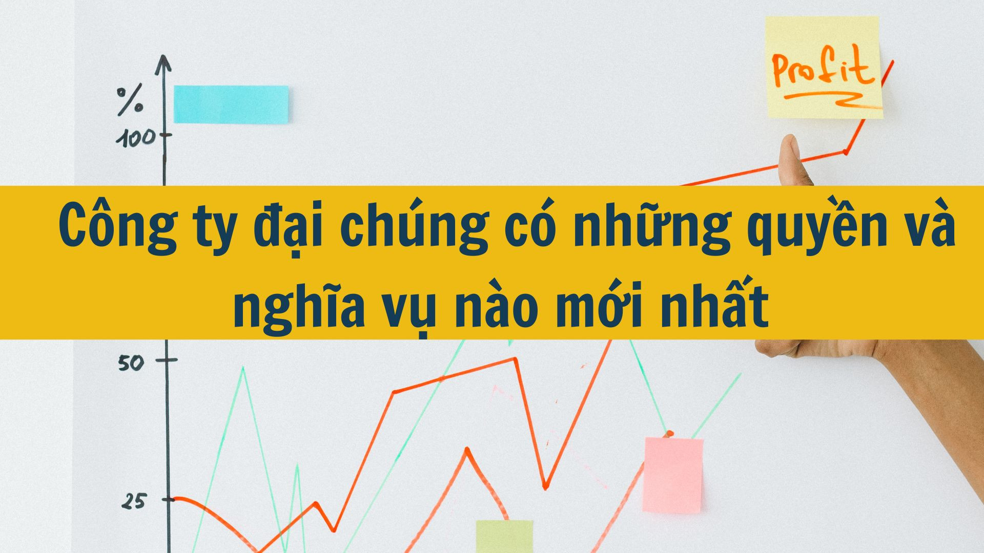 Công ty đại chúng có những quyền và nghĩa vụ nào mới nhất 2025?