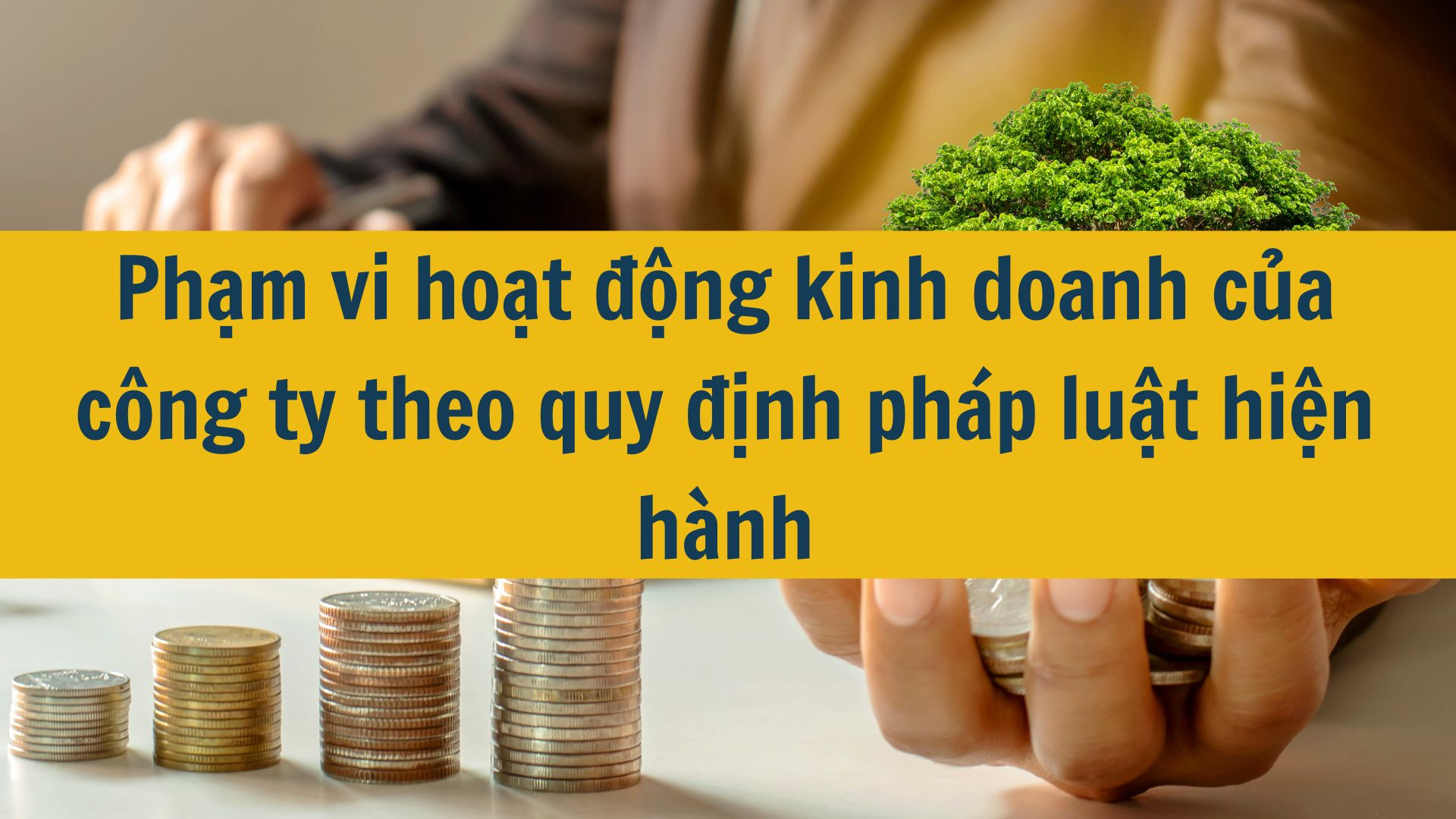 Phạm vi hoạt động kinh doanh của công ty theo quy định pháp luật hiện hành