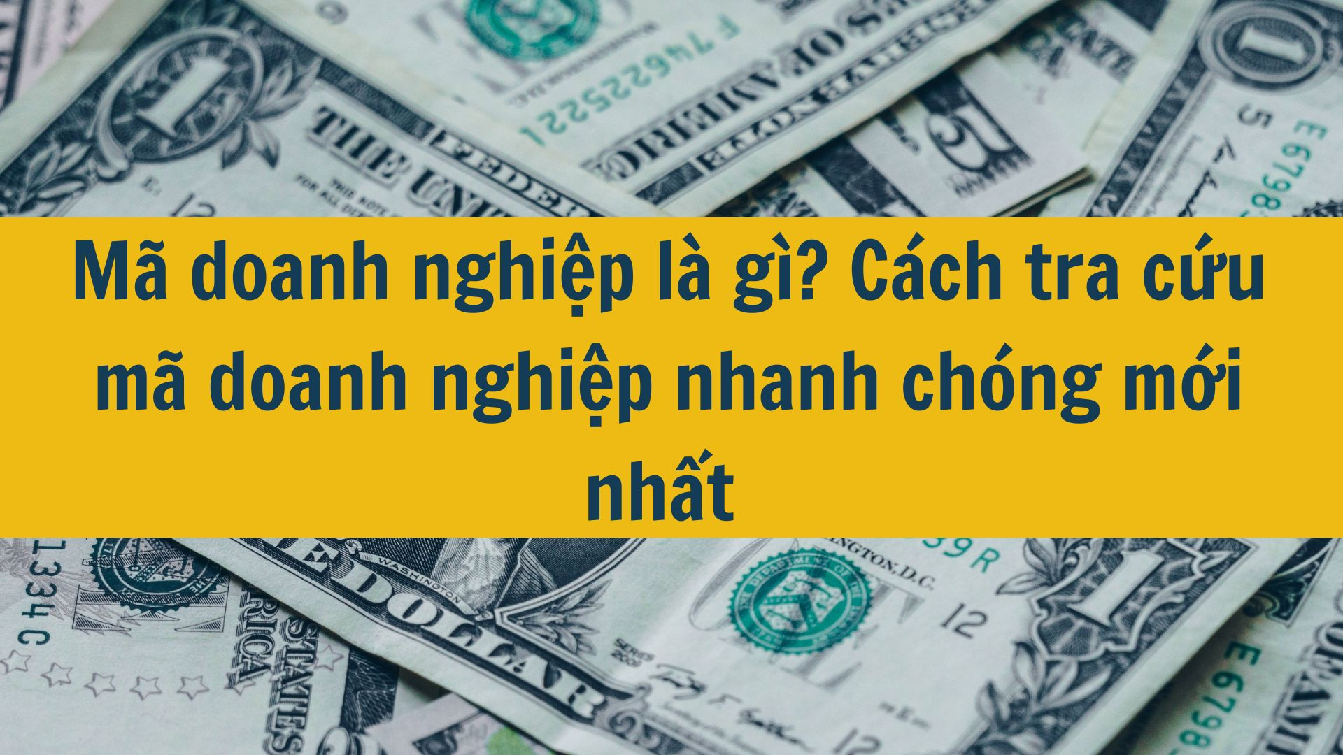 Mã doanh nghiệp là gì? Cách tra cứu mã doanh nghiệp nhanh chóng mới nhất 2025