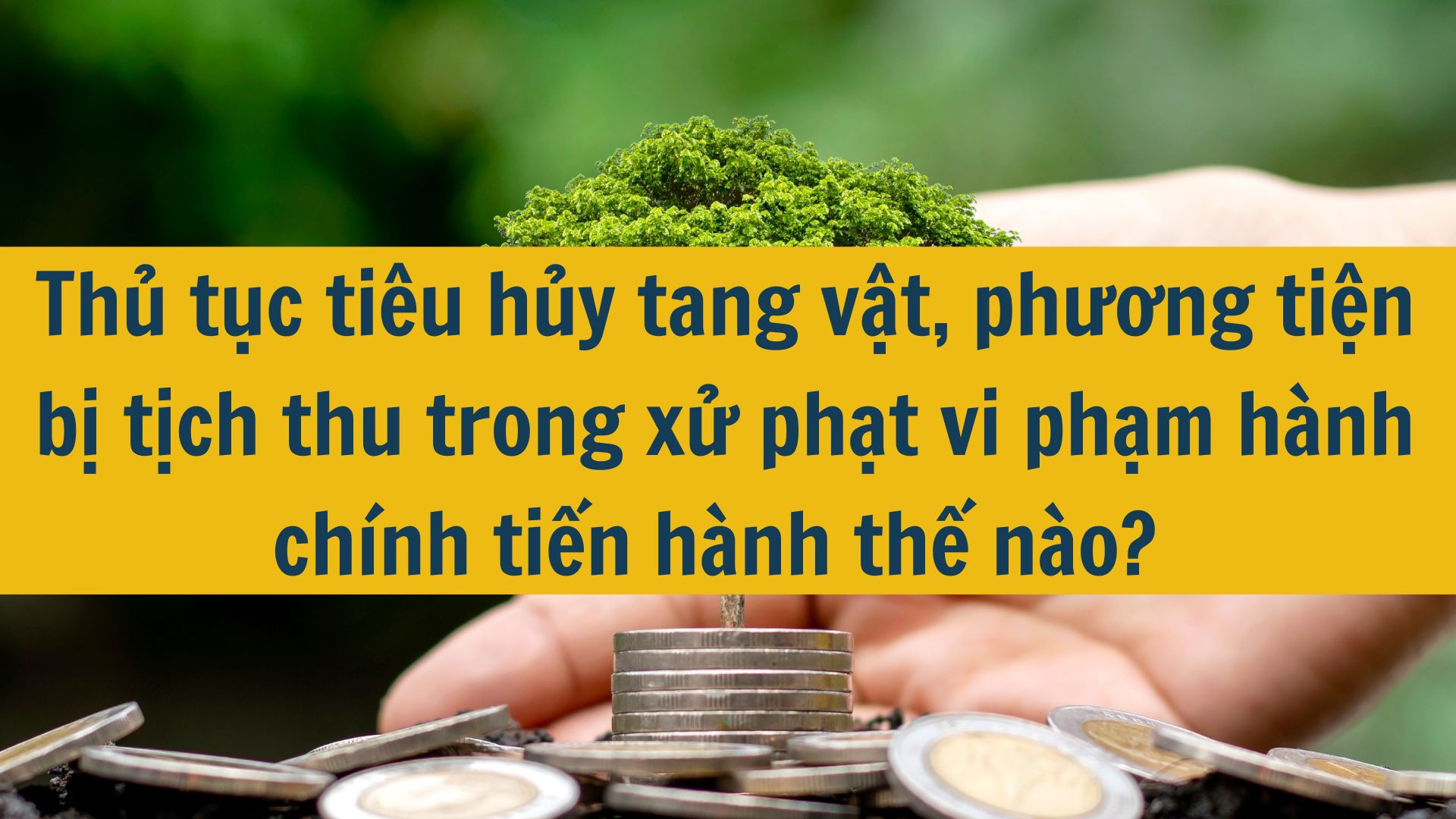 Thủ tục tiêu hủy tang vật, phương tiện bị tịch thu trong xử phạt vi phạm hành chính tiến hành thế nào?
