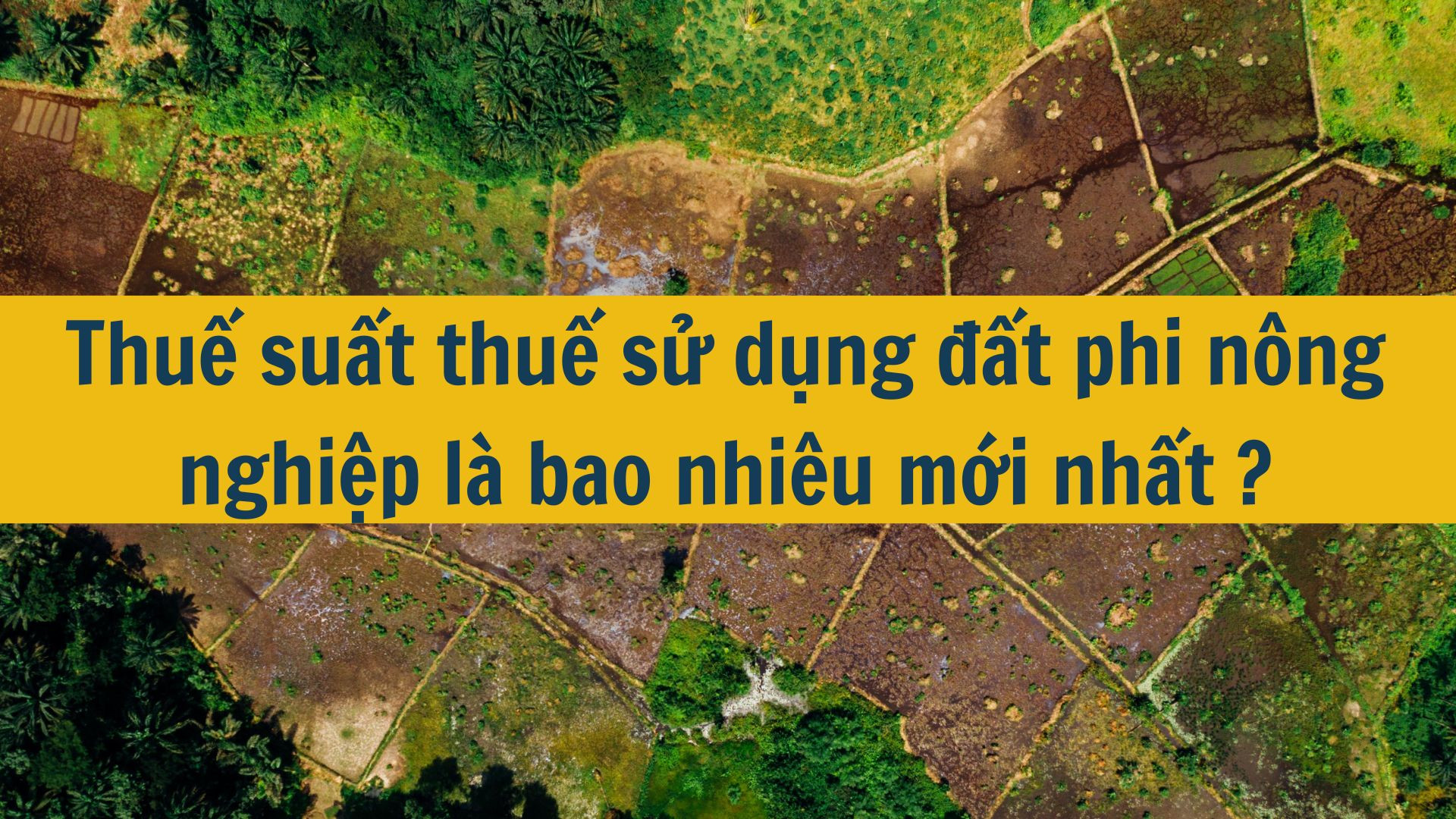 Thuế suất thuế sử dụng đất phi nông nghiệp là bao nhiêu mới nhất 2025?